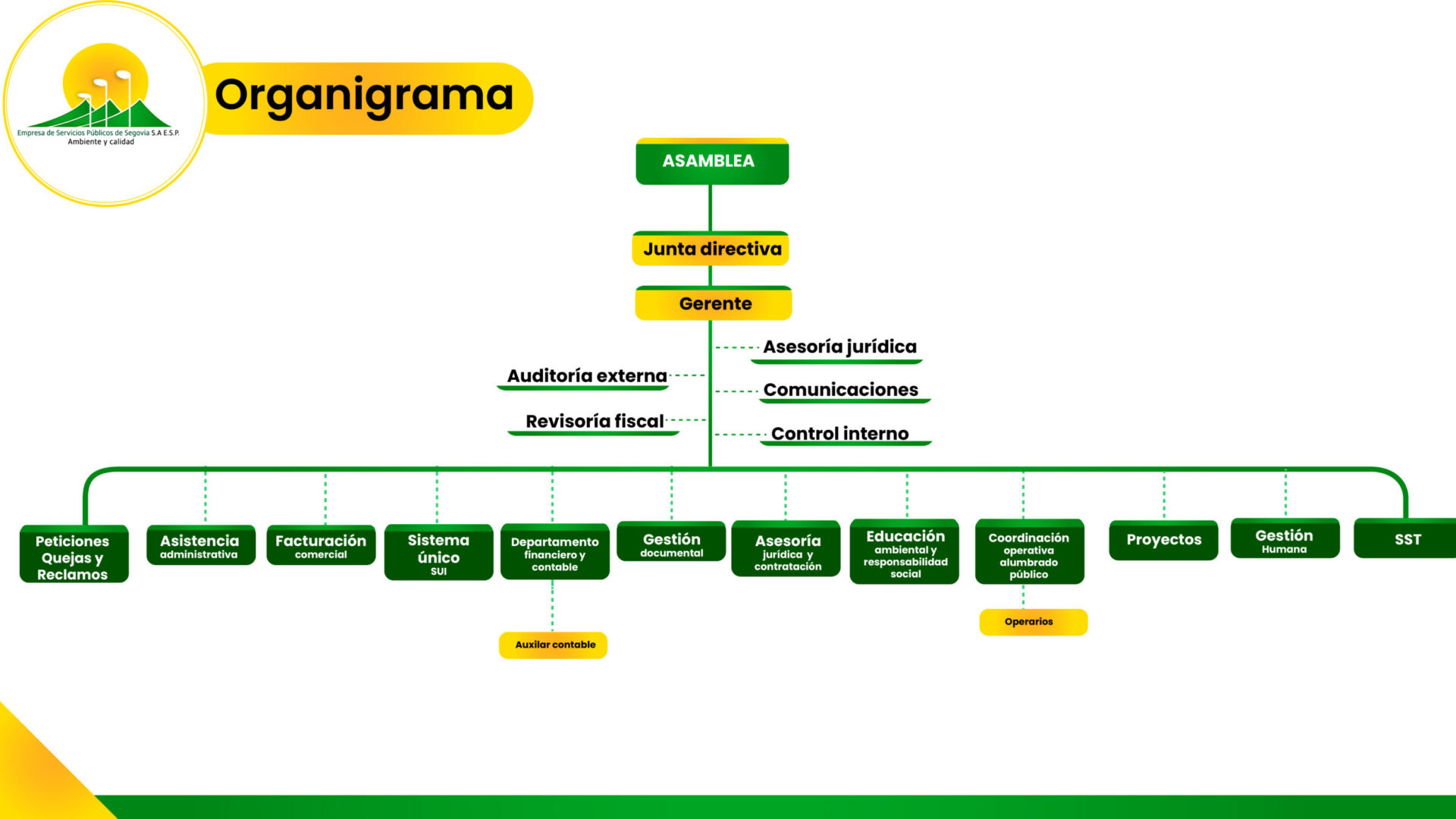 ORGANIGRAMA